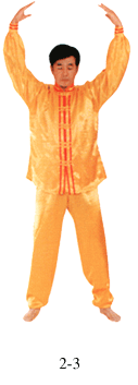 Figura 2-3